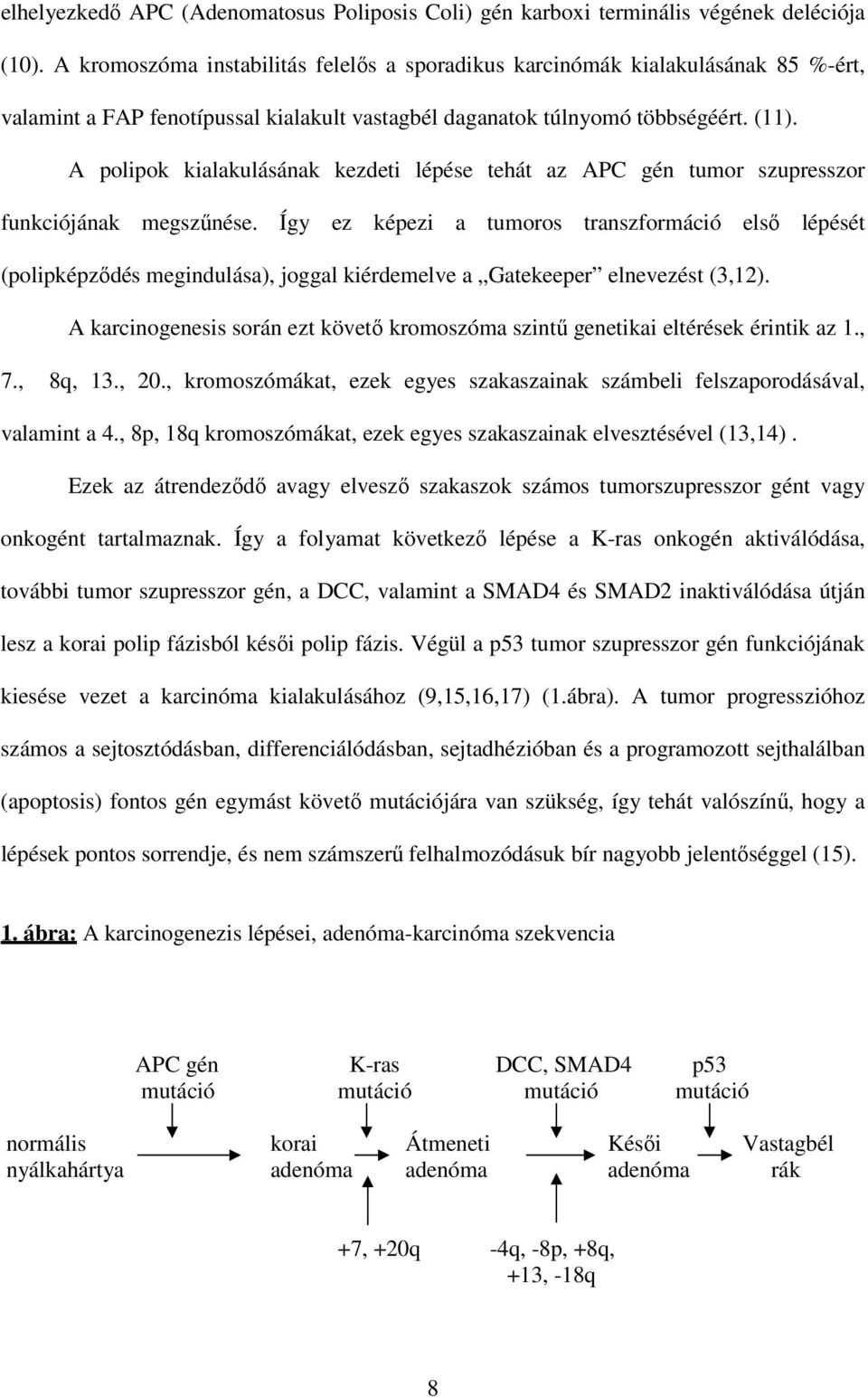 A polipok kialakulásának kezdeti lépése tehát az APC gén tumor szupresszor funkciójának megszőnése.