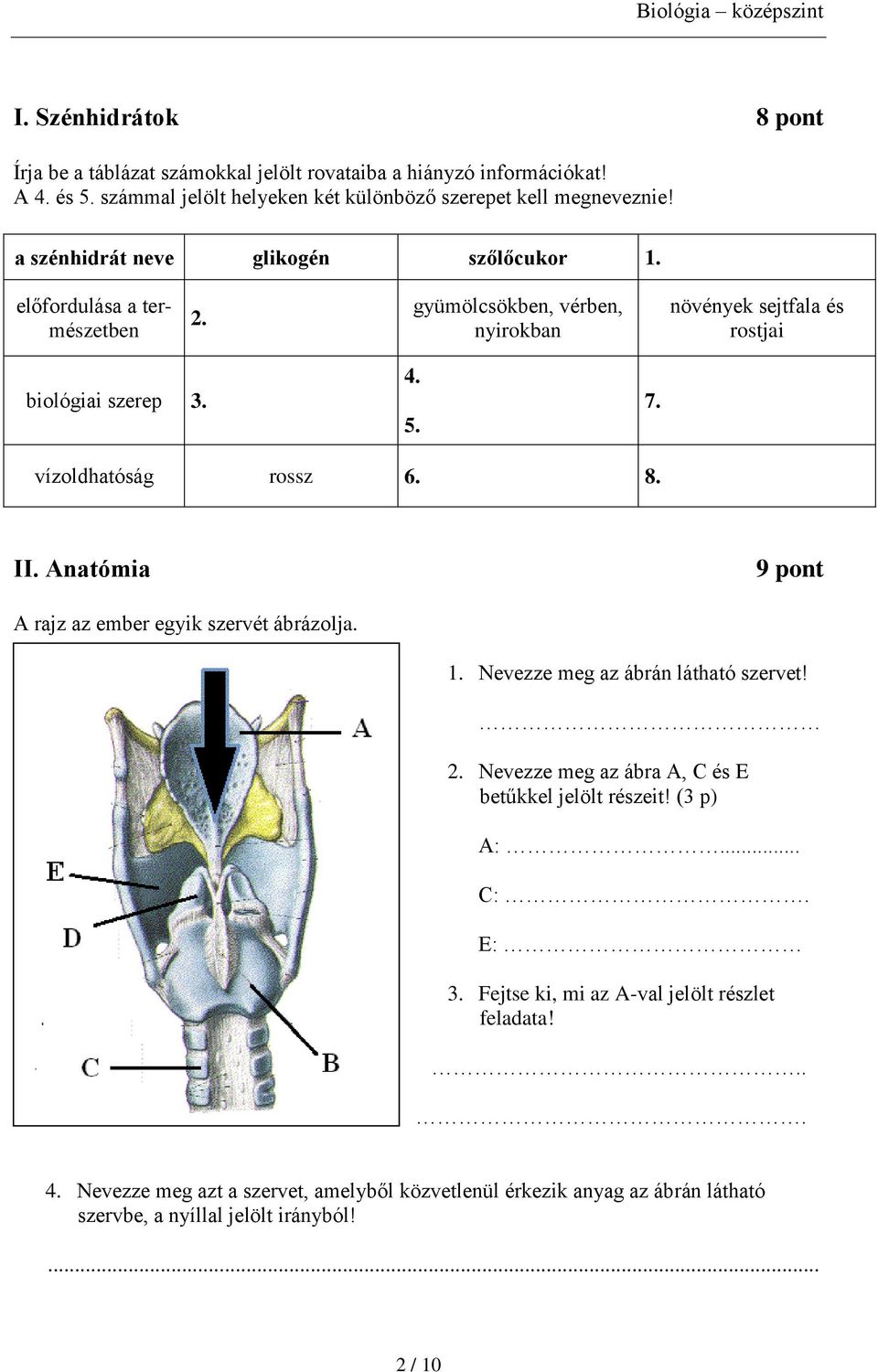 vízoldhatóság rossz 6. 8. II. Anatómia 9 pont A rajz az ember egyik szervét ábrázolja. 1. Nevezze meg az ábrán látható szervet! 2.