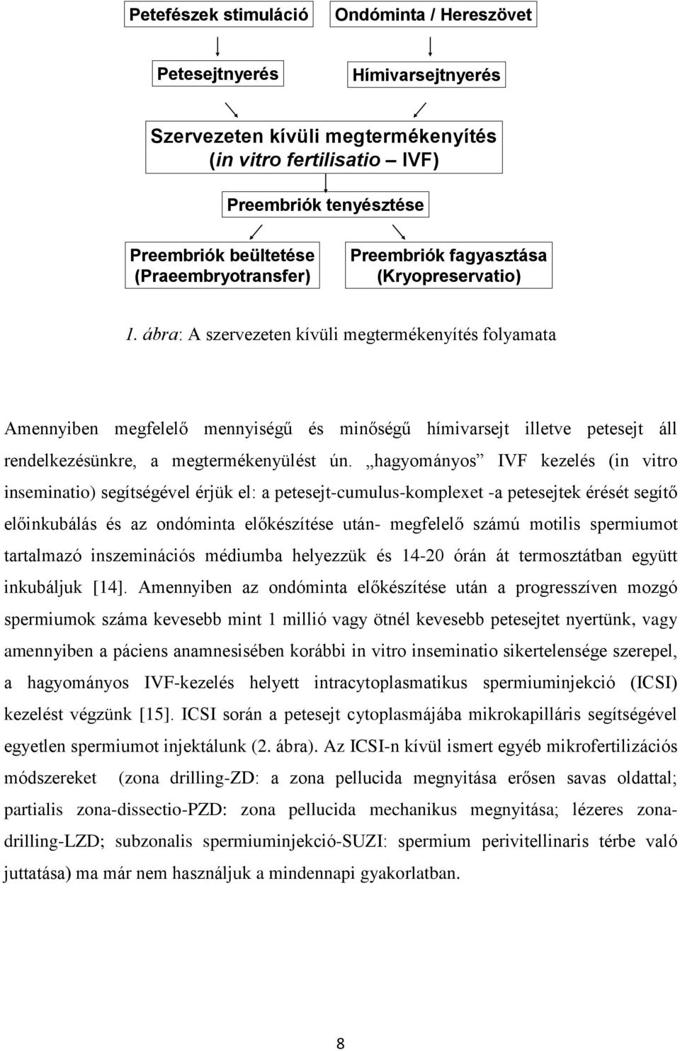 ábra: A szervezeten kívüli megtermékenyítés folyamata Amennyiben megfelelő mennyiségű és minőségű hímivarsejt illetve petesejt áll rendelkezésünkre, a megtermékenyülést ún.