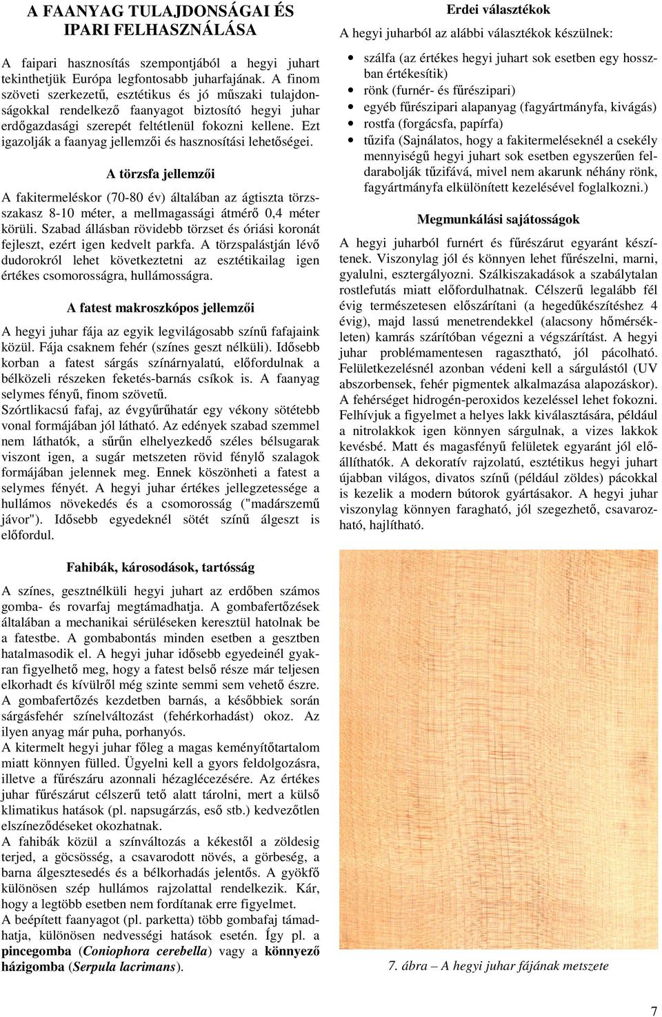 Ezt igazolják a faanyag jellemzıi és hasznosítási lehetıségei. A törzsfa jellemzıi A fakitermeléskor (70-80 év) általában az ágtiszta törzsszakasz 8-10 méter, a mellmagassági átmérı 0,4 méter körüli.