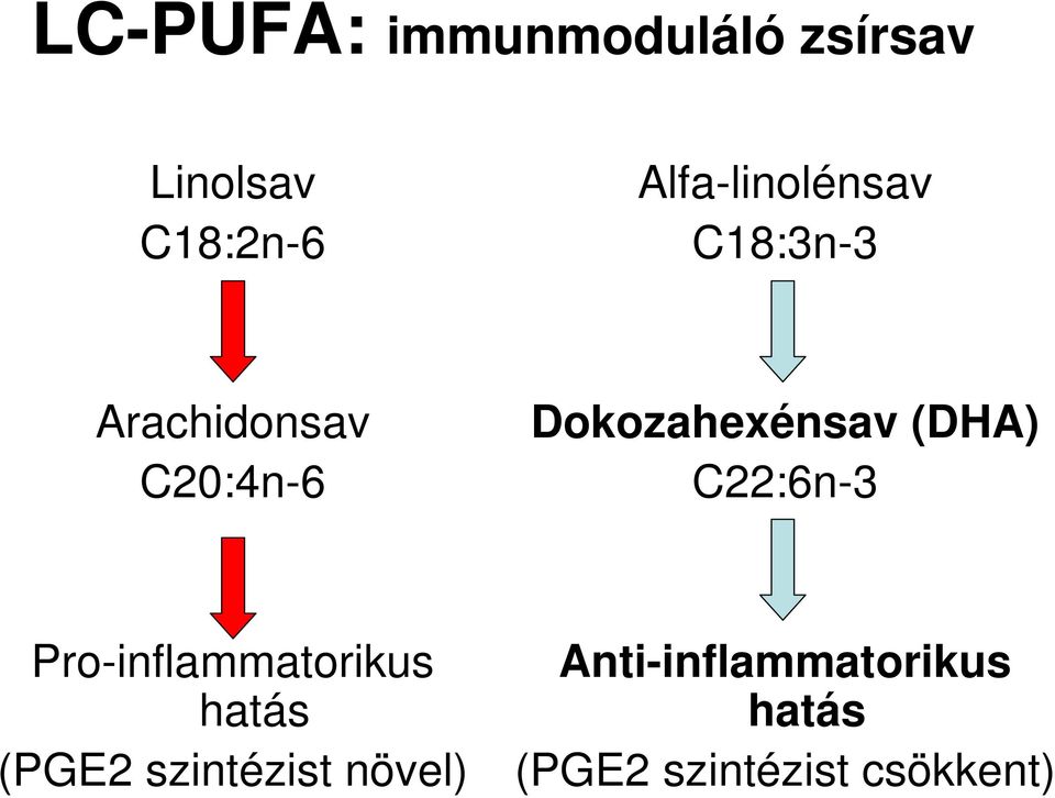 Dokozahexénsav (DHA) C22:6n-3 Pro-inflammatorikus hatás