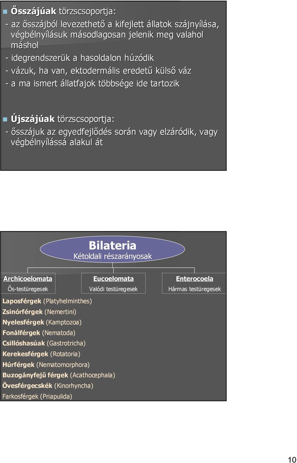 Kétoldali részarányosak Archicoelomata Ős-testüregesek Eucoelomata Valódi testüregesek Enterocoela Hármas testüregesek Laposférgek (Platyhelminthes) Zsinórférgek (Nemertini) Nyelesférgek