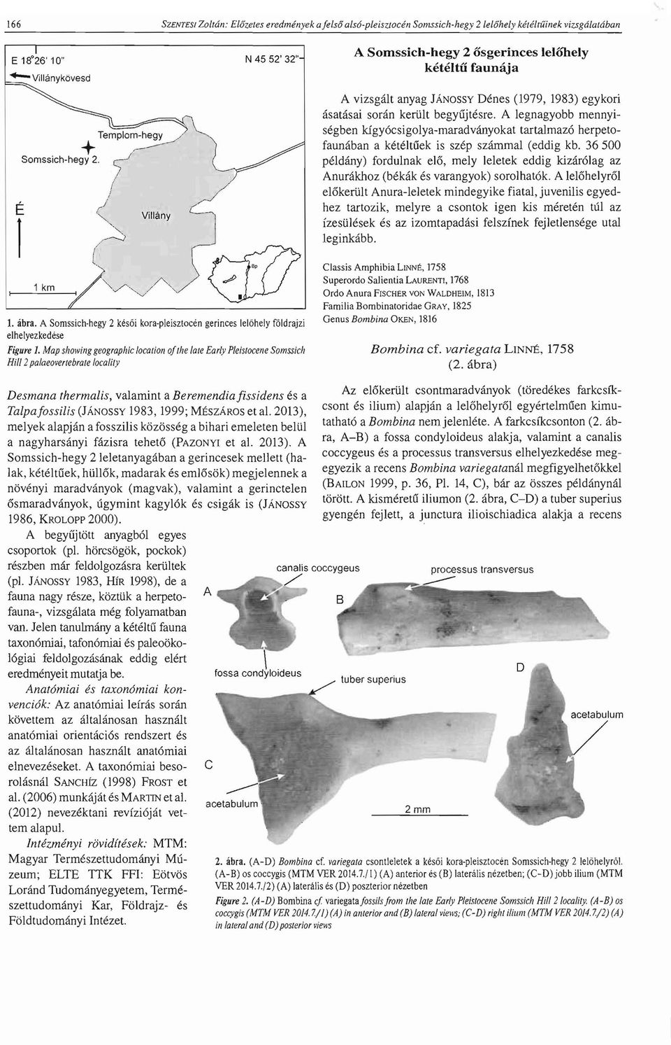 Map showing geographic location o/the late Early Pleistocene Somssich Hill 2palaeovertebrate locality A Somssich-hegy 2 osgerinces lelonely keteltii faunaja A vizsgalt anyag JANOSSY Denes (1979,