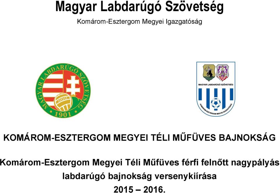 BAJNOKSÁG Komárom-Esztergom Megyei Téli Műfüves férfi