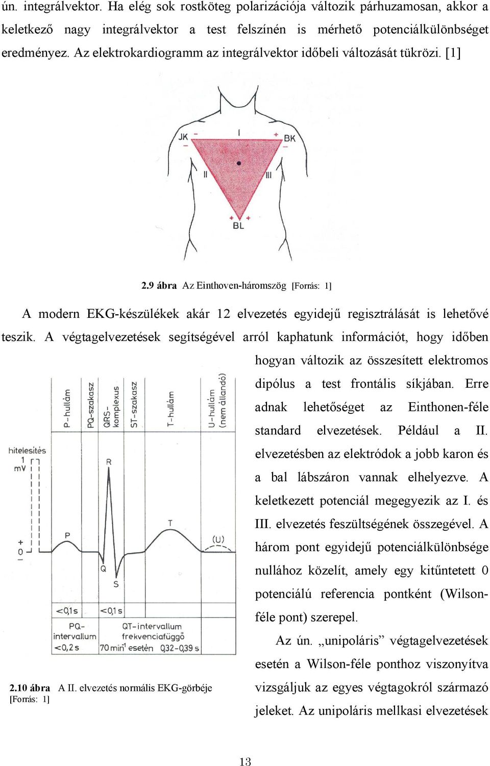 9 ábra Az Einthoven-háromszög [Forrás: 1] A modern EKG-készülékek akár 12 elvezetés egyidejű regisztrálását is lehetővé teszik.