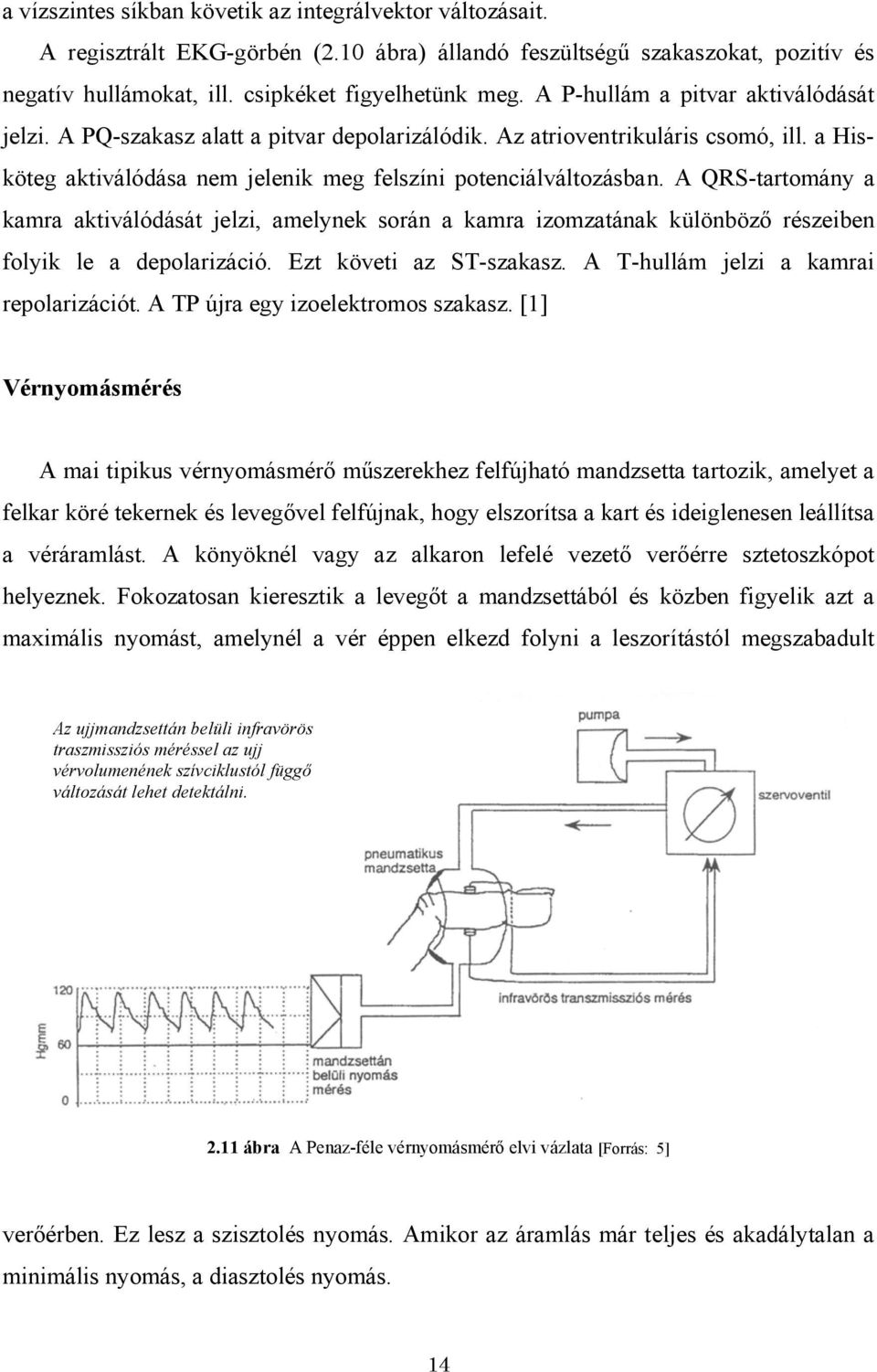 A QRS-tartomány a kamra aktiválódását jelzi, amelynek során a kamra izomzatának különböző részeiben folyik le a depolarizáció. Ezt követi az ST-szakasz. A T-hullám jelzi a kamrai repolarizációt.