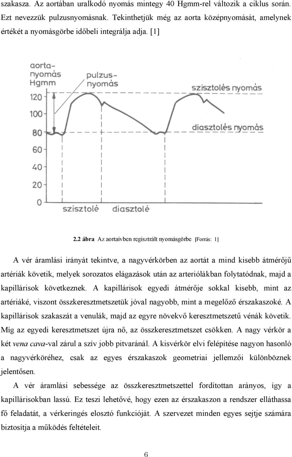 2 ábra Az aortaívben regisztrált nyomásgörbe [Forrás: 1] A vér áramlási irányát tekintve, a nagyvérkörben az aortát a mind kisebb átmérőjű artériák követik, melyek sorozatos elágazások után az