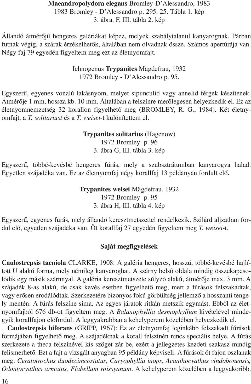 Négy faj 79 egyedén figyeltem meg ezt az életnyomfajt. Ichnogenus Trypanites Mägdefrau, 1932 1972 Bromley - D Alessandro p. 95.