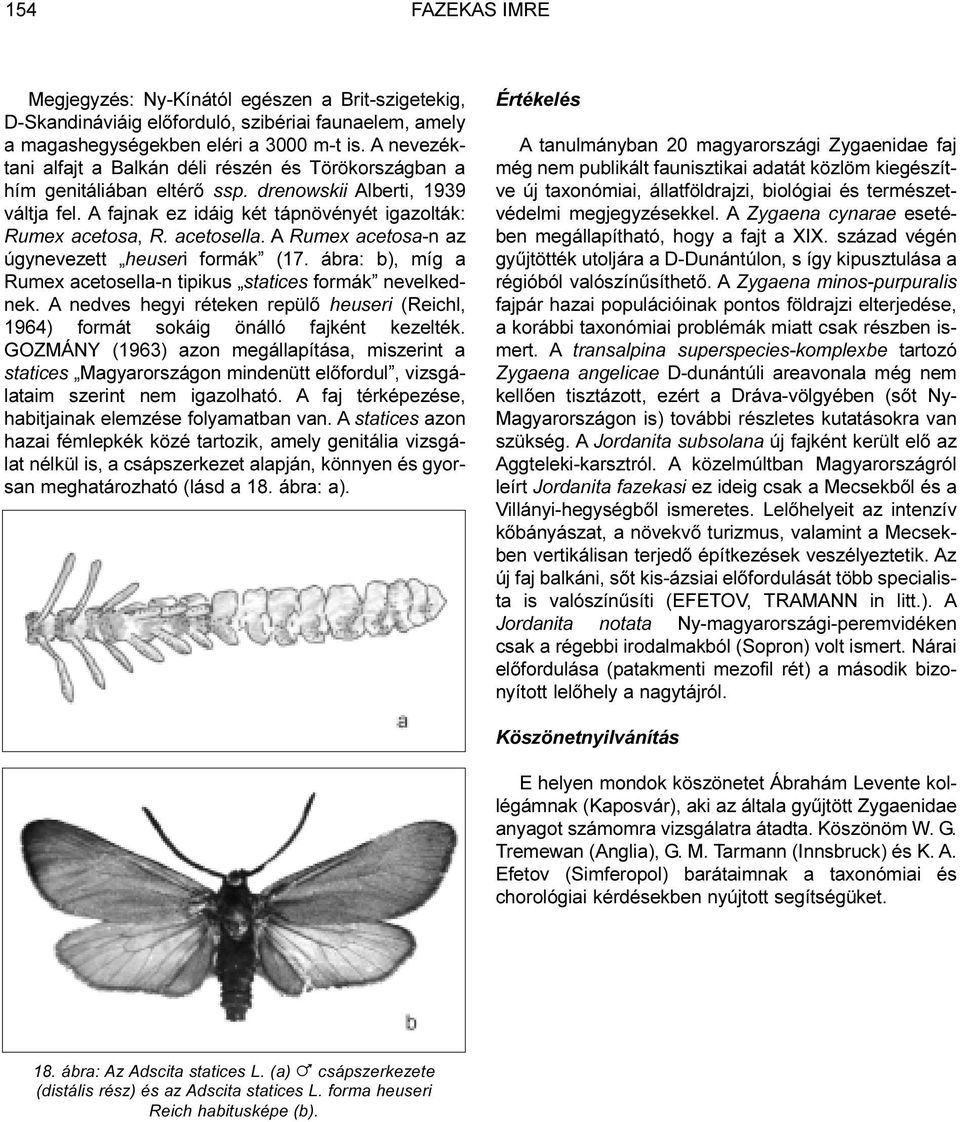 acetosella. A Rumex acetosa-n az úgynevezett heuseri formák (17. ábra: b), míg a Rumex acetosella-n tipikus statices formák nevelkednek.