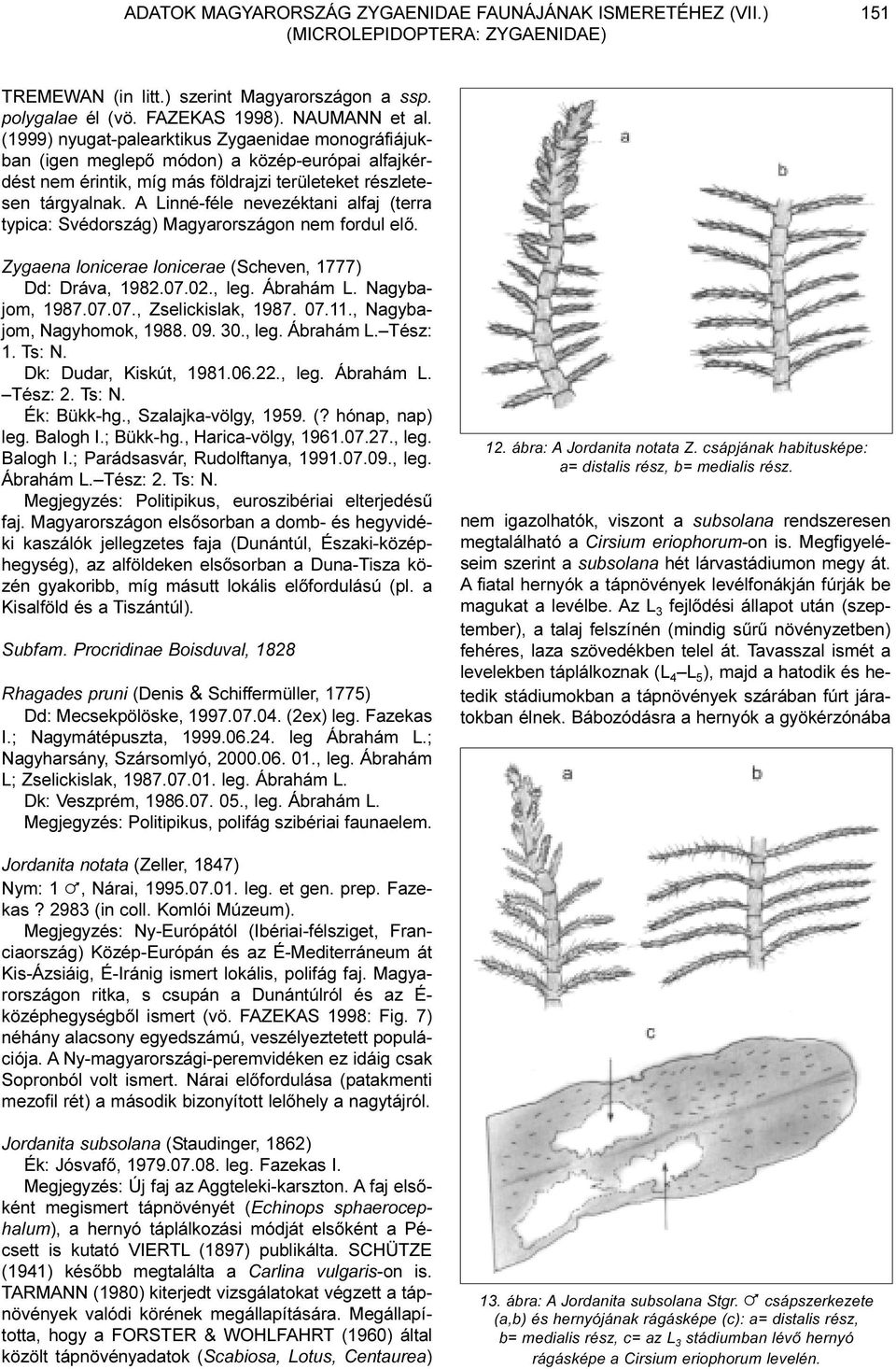 A Linné-féle nevezéktani alfaj (terra typica: Svédország) Magyarországon nem fordul elõ. Zygaena lonicerae lonicerae (Scheven, 1777) Dd: Dráva, 1982.07.02., leg. Ábrahám L. Nagybajom, 1987.07.07., Zselickislak, 1987.