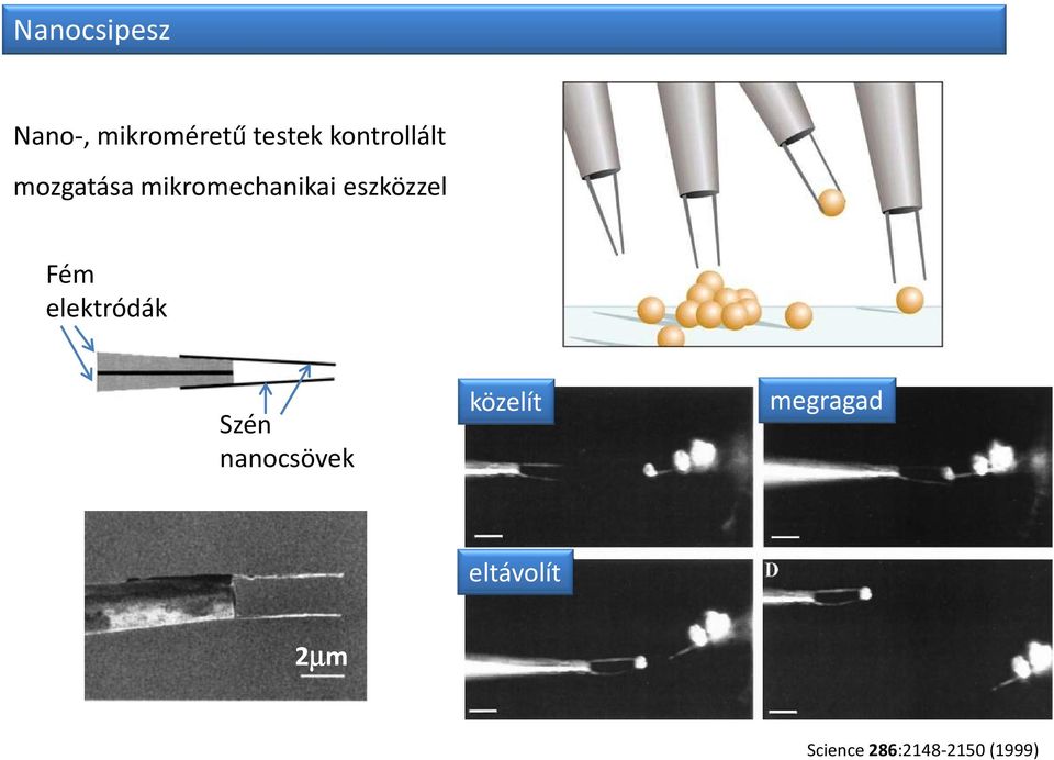 eszközzel Fém elektródák Szén nanocsövek