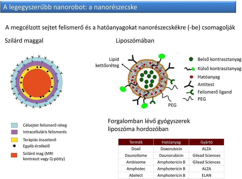 felismerés Terápiás összetevő Egyéb érzékelő Szilárd mag (MRI kontraszt vagy Q-pötty) Forgalomban lévő gyógyszerek liposzóma hordozóban Termék Hatóanyag