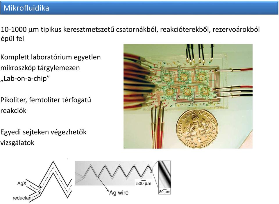 egyetlen mikroszkóp tárgylemezen Lab-on-a-chip Pikoliter,