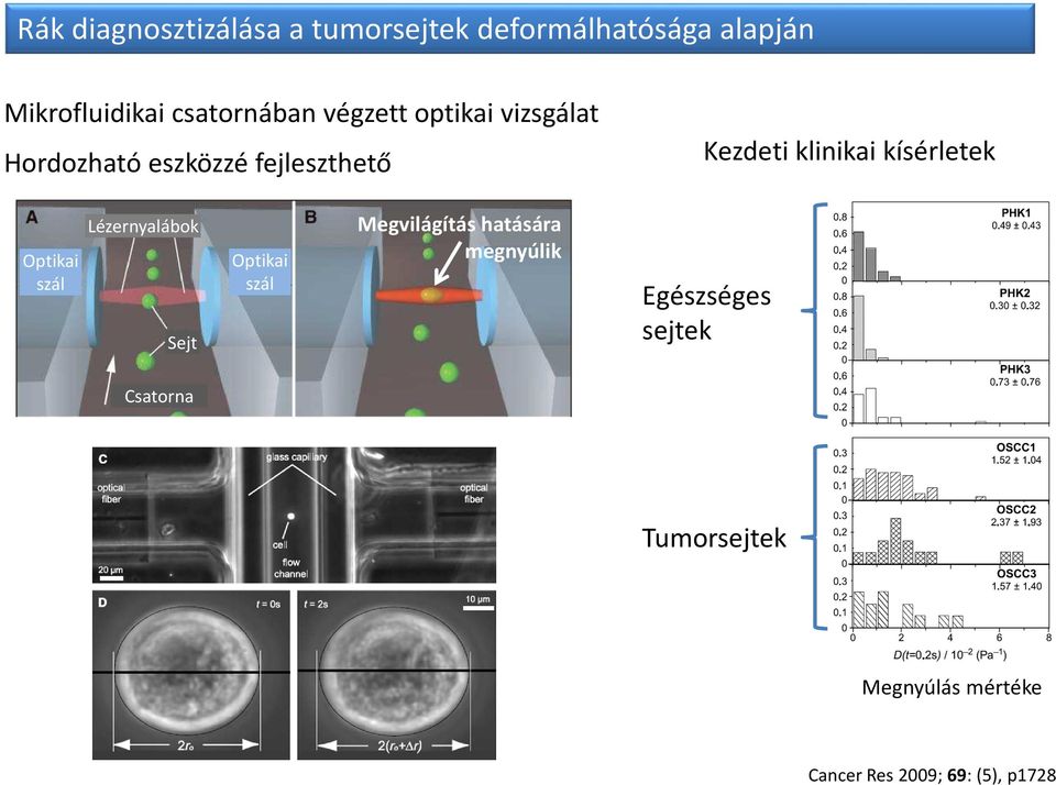 klinikai kísérletek Optikai szál Lézernyalábok Sejt Optikai szál Megvilágítás