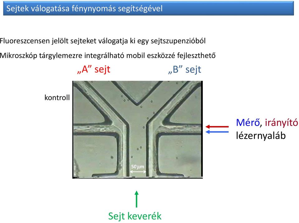 Mikroszkóp tárgylemezre integrálható mobil eszközzé