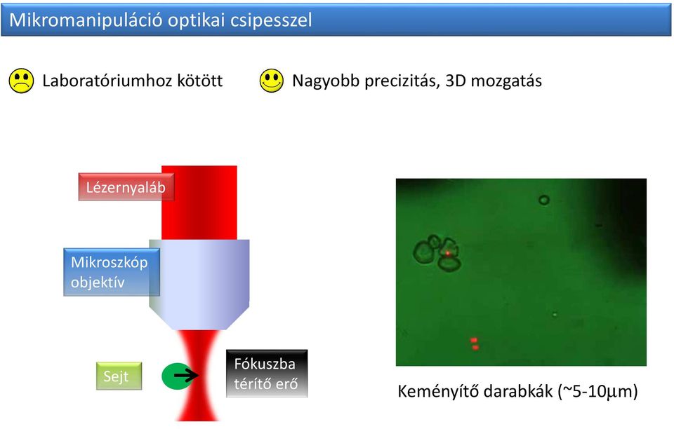 3D mozgatás Lézernyaláb Mikroszkóp objektív