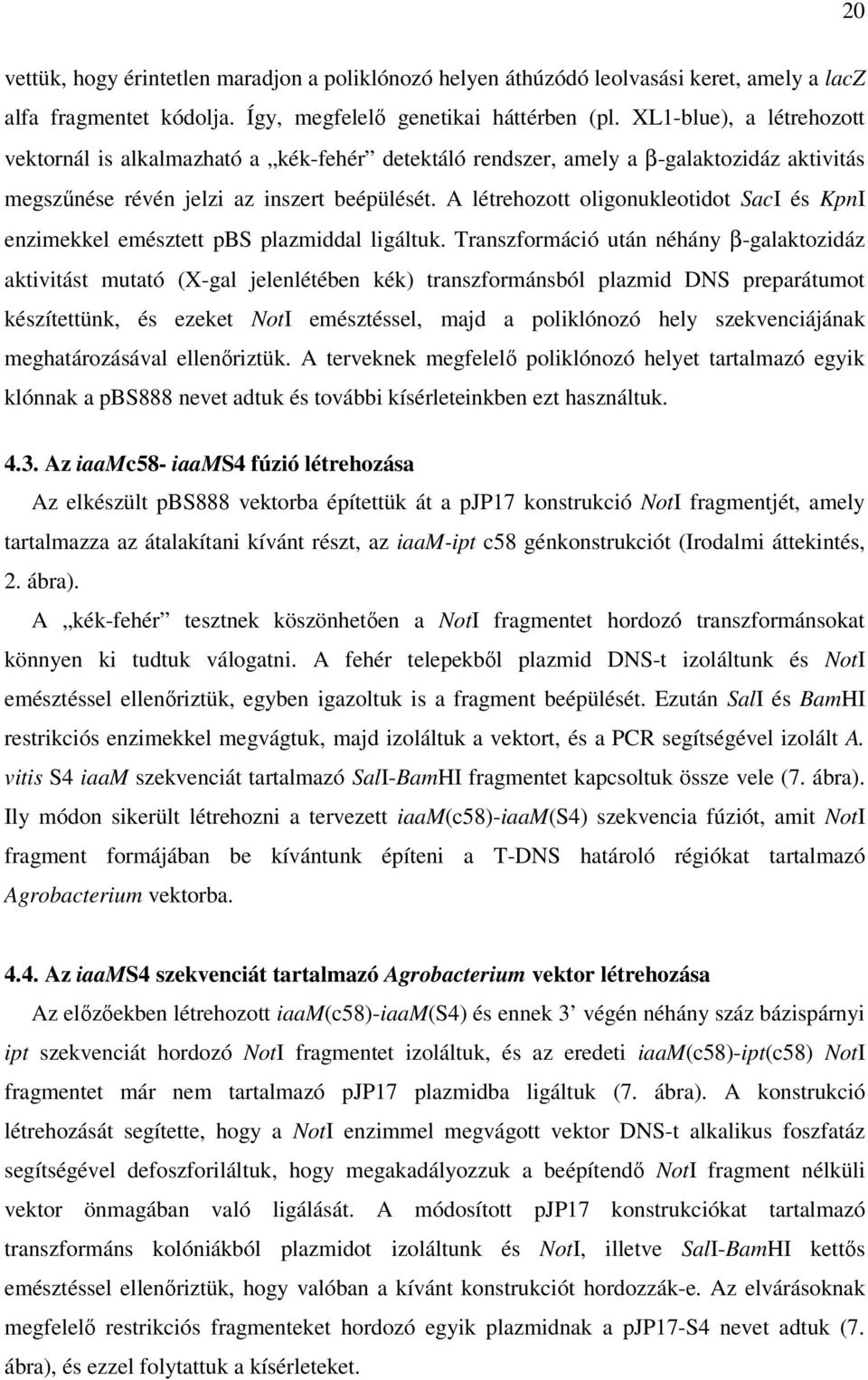 A létrehozott oligonukleotidot SacI és KpnI enzimekkel emésztett pbs plazmiddal ligáltuk.