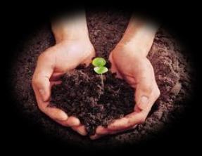 A talaj fogalma A talaj telek, terület, termőterület kiterjedése A Föld legkülső szilárd burka, növények termőhelye Alapvető tulajdonsága a termékenysége termelés A természeti környezet része,