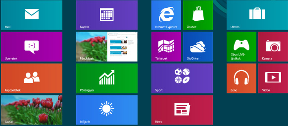 16.7. Windows 8 kezdőképernyő Szoftver Miután elindul az operációs rendszer, máris az új Windows 8 programban találja magát, nevezetesen a