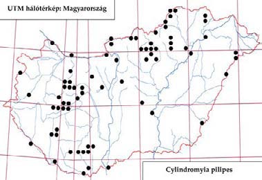 108 Tóth S.: Magyarország fürkészlégy faunája (Diptera: Tachinidae) Irodalom: 1, 3, 6, 7, 8, 12, 17, 18, 19, 20, 21, 23, 27, 28, 31, 32, 33. Elterjedése: Palearktikum (E, Tk, Szi, É-Am).