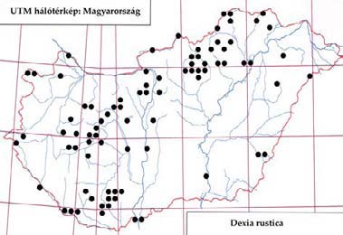 e-acta Nat. Pannon. 5, Suppl. 1 (2013) 113 177. ábra: A Demoticus plebejus lelőhelyei 178. ábra: A Demoticus plebejus fenológiája 179. ábra: A Dexia rustica lelőhelyei 180.