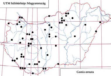 e-acta Nat. Pannon. 5, Suppl. 1 (2013) 157 290. ábra: A Gaedia divisa fenológiája 291. ábra: A Gonia ornata lelőhelyei 1, TS Széchenyi-hegy: 1959.05.14., 1, SZJ 