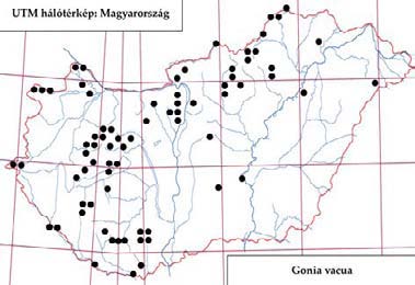 e-acta Nat. Pannon. 5, Suppl. 1 (2013) 159 UÁ, +FÉNY Fényi-erdő: 1985.05.15., 1 1, TS Fót-Somlyó: 1960.03.25., 1 1, MF Hármashatárhegy: 1979.03.18., 1, MF Hársbokor-hegy: 1958.04.12., 1, SH; 1959.04.05., 2, TAP Házi-erdő: 1993.