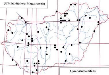 e-acta Nat. Pannon. 5, Suppl. 1 (2013) 165 307. ábra: A Gym nosom a inornatum lelőhelyei 308. ábra: A Gym nosom a inornatum fenológiája 309. ábra: A Gym nosom a nitens lelőhelyei 310.