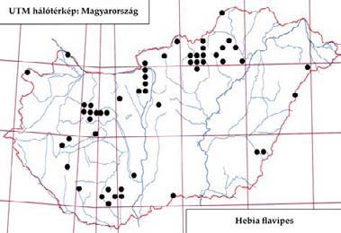 e-acta Nat. Pannon. 5, Suppl. 1 (2013) 169 316. ábra: A Gym nosom a rungsi lelőhelyei 317. ábra: A Gym nosom a rungsi fenológiája 318. ábra: A Halidaya aurea lelőhelyei 319.