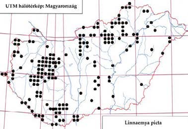 184 Tóth S.: Magyarország fürkészlégy faunája (Diptera: Tachinidae) 3, TS, +MAL Ráróspuszta: 1957.06.04., 1, LB Szárhalmi-erdő (TS): 1980.08.10., 1 ; 1980.08.21., 1 Szuha-völgy: 2007.07.21., 1, TS Tohonya-völgy (TS): 1991.