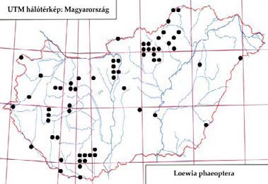 e-acta Nat. Pannon. 5, Suppl. 1 (2013) 189 372. ábra: A Loewia foeda lelőhelyei 373. ábra: A Loewia foeda fenológiája 1972.06.19., 1, MF Egyházasgerge: 2003.06.03., 2 2, TS Hollóstető: 1958.07.27.