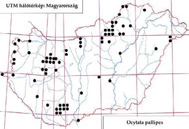 e-acta Nat. Pannon. 5, Suppl. 1 (2013) 217 Irodalom: 7, 18, 20, 27, 31, 32, 33. Elterjedése: Palearktikum (E, Szi, Ja). Magyarország: A Kisalföld kivételével szórványosan minden nagytájon gyűjtötték.