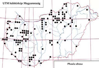 e-acta Nat. Pannon. 5, Suppl. 1 (2013) 239 499. ábra: A Phasia karczewskii lelőhelyei 500. ábra: A Phasia obesa lelőhelyei liget: 1973.07.30., 1, MF Tiszanána: 2008.09.12., 1, TS.