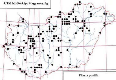 e-acta Nat. Pannon. 5, Suppl. 1 (2013) 241 raszt: 1972.07.09., 1 1, PL; 1980.07.18., 1, DÁ; 1981.07.13., 1, A Csomád: 1957.07.02., 1, SZV; 1972.09.06., 1, PL Derék-erdő: 1993.08.11.