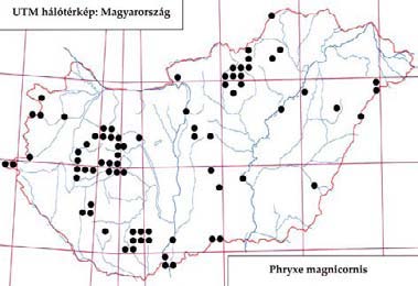 e-acta Nat. Pannon. 5, Suppl. 1 (2013) 251 526. ábra: A Phryxe m agnicornis lelőhelyei 527. ábra: A Phryxe m agnicornis fenológiája (TS): 1989.04.25., 1 1 ; 1989.05.04., 1 Bodó-rét: 2007.07.20., 1, TS Budajenő (HS): 1963.