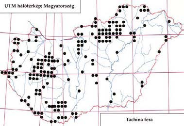 e-acta Nat. Pannon. 5, Suppl. 1 (2013) 283 601. ábra: A Synactia parvula lelőhelyei 602. ábra: A T achina fera lelőhelyei 603. ábra: A T achina fera fenológiája fajok parazitoidja.