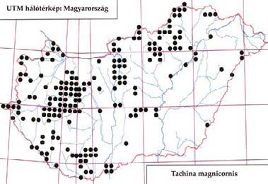 e-acta Nat. Pannon. 5, Suppl. 1 (2013) 267 Lasiocampa quercus L. (Lasiocampidae), de ritkábban más fajokból is nevelték. Univoltin, vernalisaestivalis (V VIII.). Virágválasztása: Angelica sylvestris L.