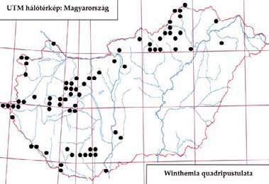 e-acta Nat. Pannon. 5, Suppl. 1 (2013) 301 644. ábra: A W inthem ia jacentkovskyi lelőhelyei 645. ábra: A W inthem ia quadripustulata lelőhelyei Elterjedése: Európa.