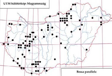 64 Tóth S.: Magyarország fürkészlégy faunája (Diptera: Tachinidae) 51. ábra:a Belida angelicae lelőhelyei 52. ábra:a Belida angelicae fenológiája 53. ábra: A Bessa parallela lelőhelyei 54.