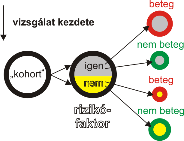 standard hibáját az alábbi összefüggés szerint:.