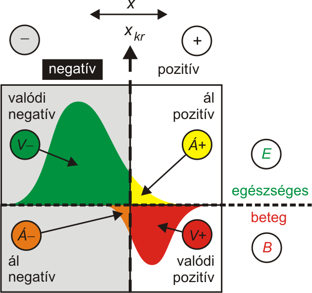 202. ábra A diagnosztikai teszt alapjául szolgáló mennyiség (x) tipikus sűrűségfüggvényei, f(x) (pontozott vonal). a) Az egészségesekre és betegekre jellemző értékek jól elkülönülnek.