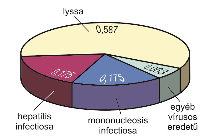 KÓROKOZÓ BETEGSÉG abszolút gyakoriság baktérium vírus relatív gyakoriság feltételes relatív gyakoriság salmonellosis (szalmonella fertőzés) 94 0,280 0,452 scarlatina (skarlát) 102 208 0,303 0,619