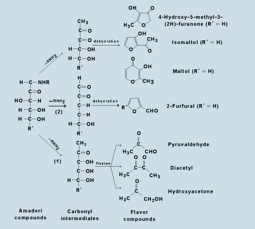 Maillard-reakció: cukor + aminsav bonyolult szerkezetű molekulák (ez játszódik le a konyha sütéskor is, ezért barnul meg és lesz illata, íze az ételnek)