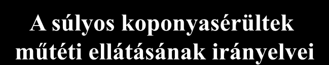 november 2005, 2007 Kidolgozta: The American Association of Neurological Surgeons