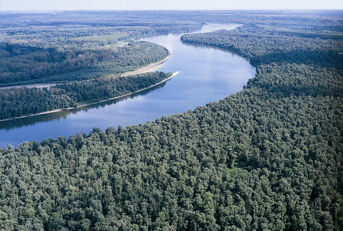 A Mura Dráva Duna határon átnyúló UNESCO Bioszféra Rezervátum élőhelyrehabilitációs lehetőségeinek vizsgálata a folyami és ártéri