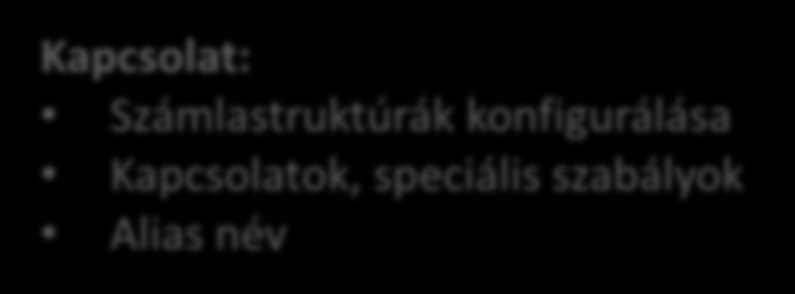 Számlatükör, Pénzügyi dimenziók Számlatükör: Központosított beállítás Cégcsoport, vállalat függő Aktív időintervallum Pénzügyi dimenziók: Korlátlan számú Szabadon definiálható
