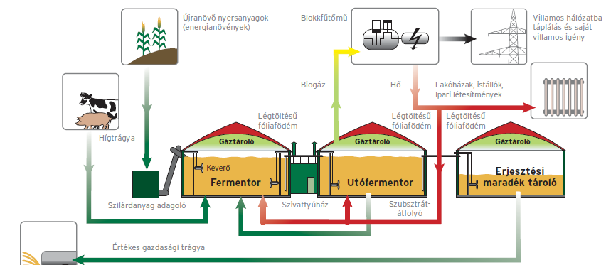 A mezőgazdasági üzemhez köthető biogáz üzem általános sémája Általános jellemzők: Alapanyag valamilyen trágya és valami termesztett növény legtöbbször silókukorica, újabban sok szó esik a