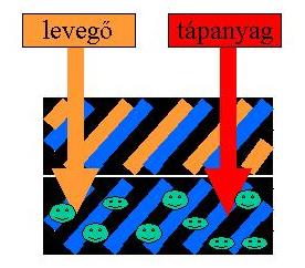 Biotechnológiák In situ biológiai talajvízkezelés: levegő és tápanyagok injektálása a talaj telített