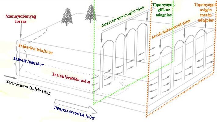 Kétzónás in situ bioremediáció a telített talajzónában: