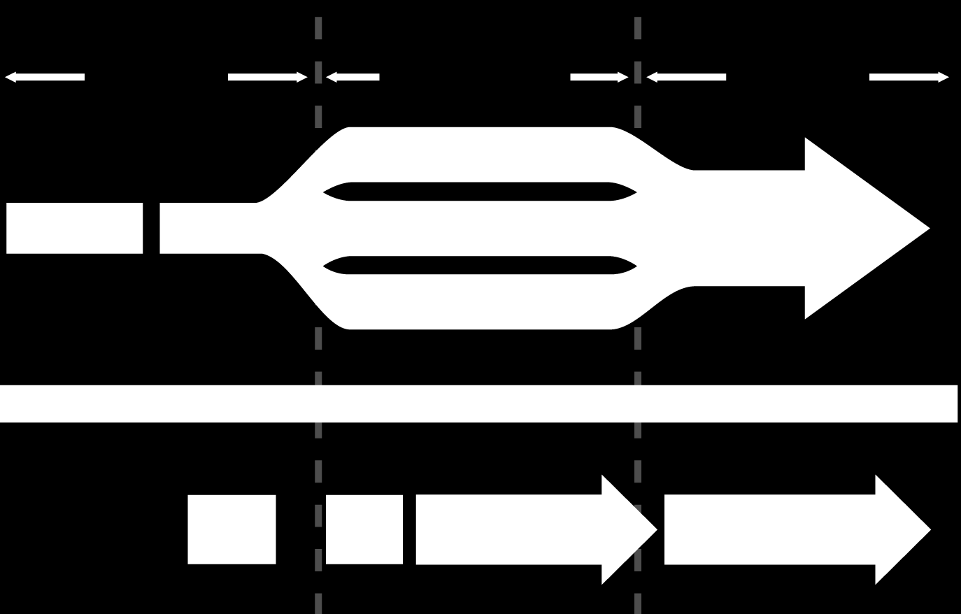 ELI roadmap initiation Parallel implementation joint